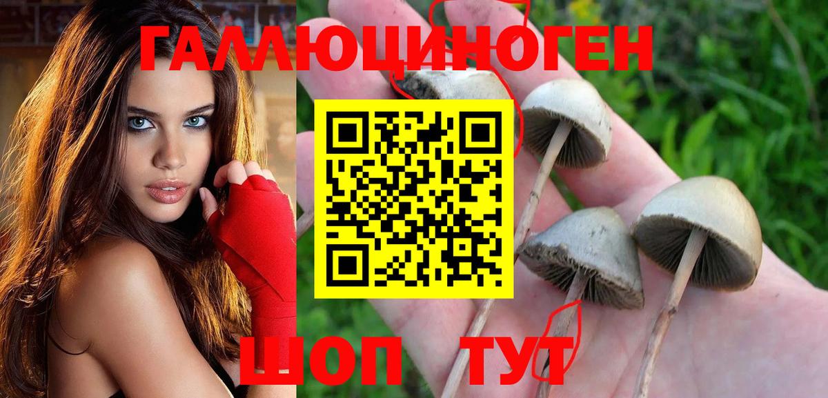 Галлюциногенные грибы ЛСД  Вход с VPN  Краснодар  Псилоцибиновые грибы мицелий 