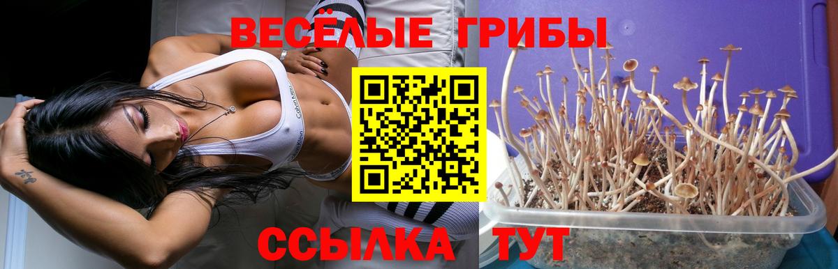 Галлюциногенные грибы MAGIC MUSHROOMS Краснодар